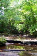 Geologische Wandeling in Valkenburg
